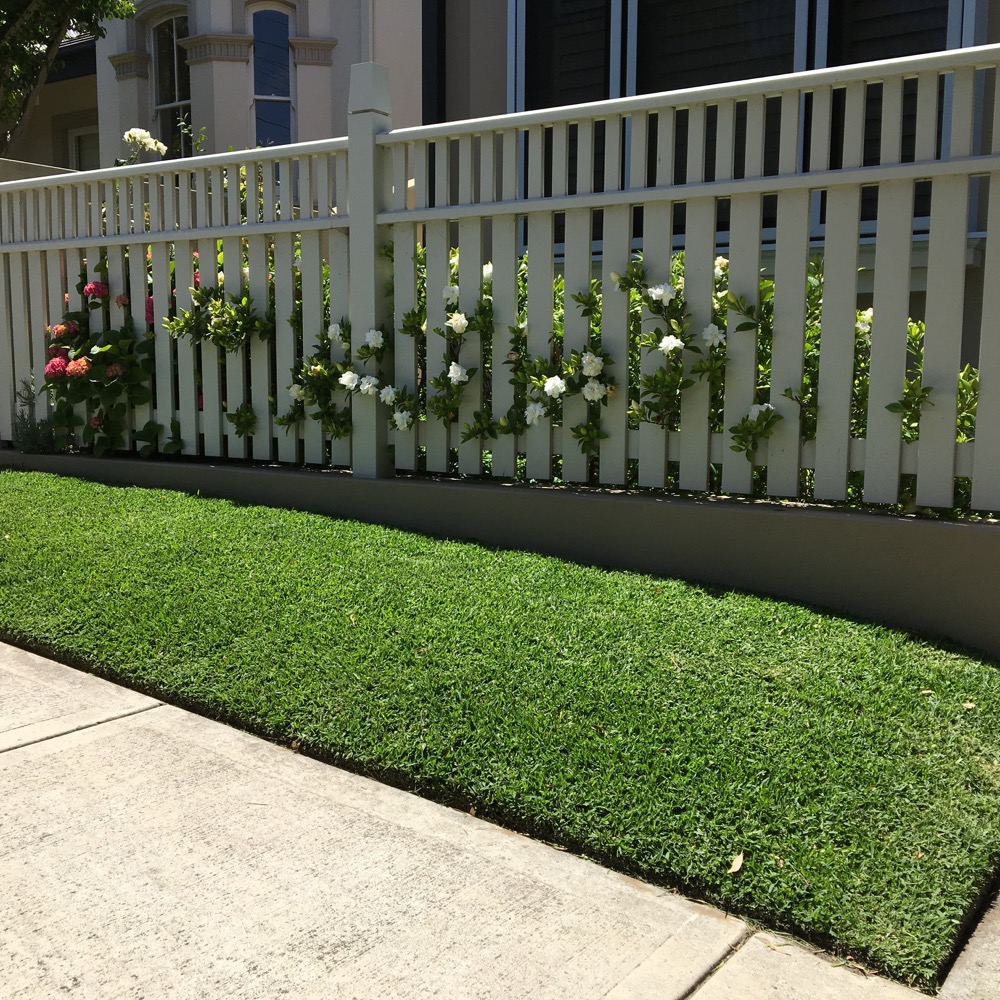 Lawn with a pathway