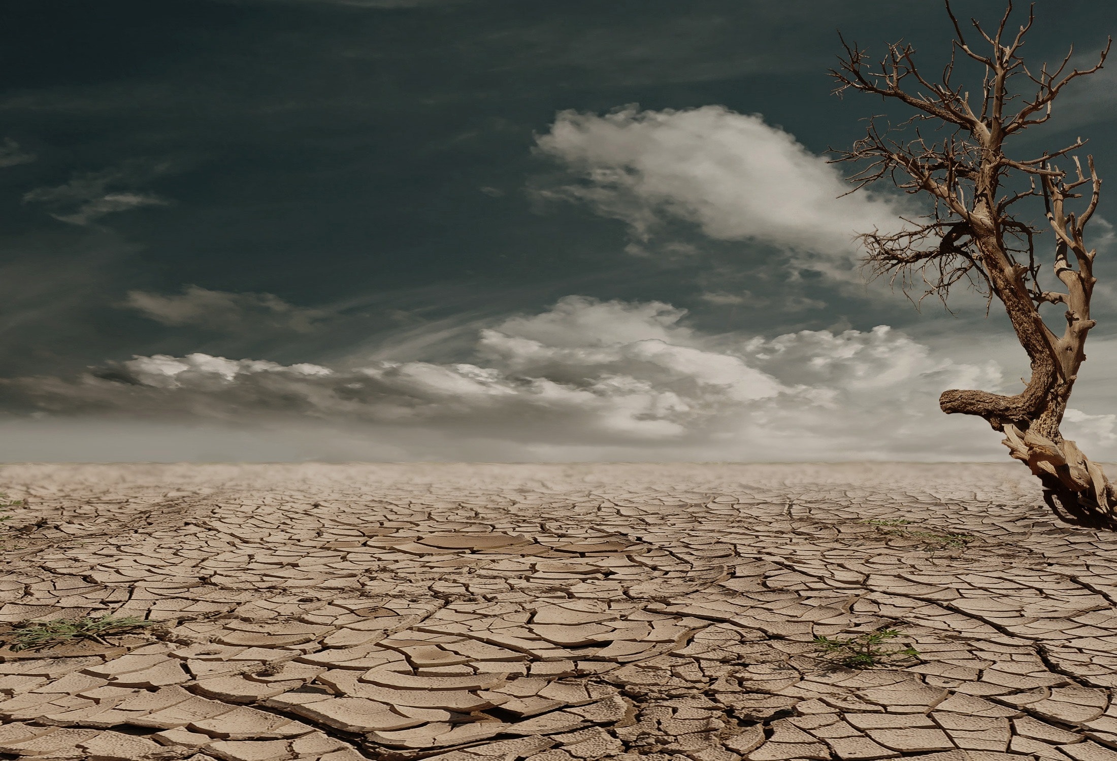 landscape image of arid landscape with cracked ground affected by drought