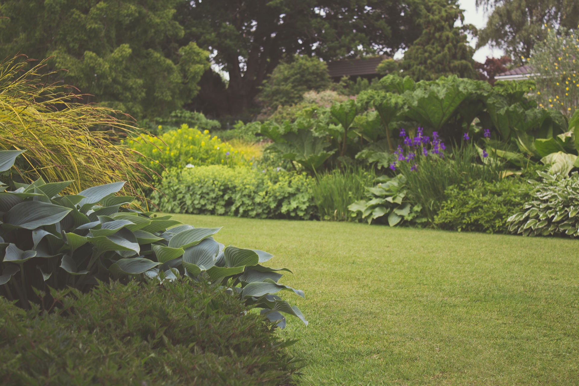 Healthy well maintained garden with numerous green plants and purple flowers