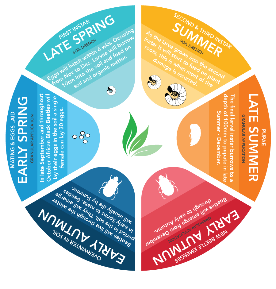 Treatment plan pie chart with early &late spring, early & late summer and early & late autumn