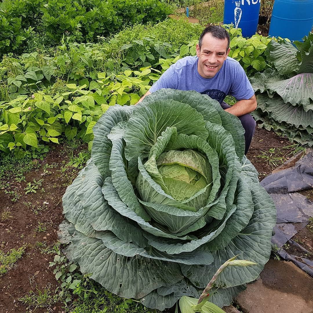 health garden